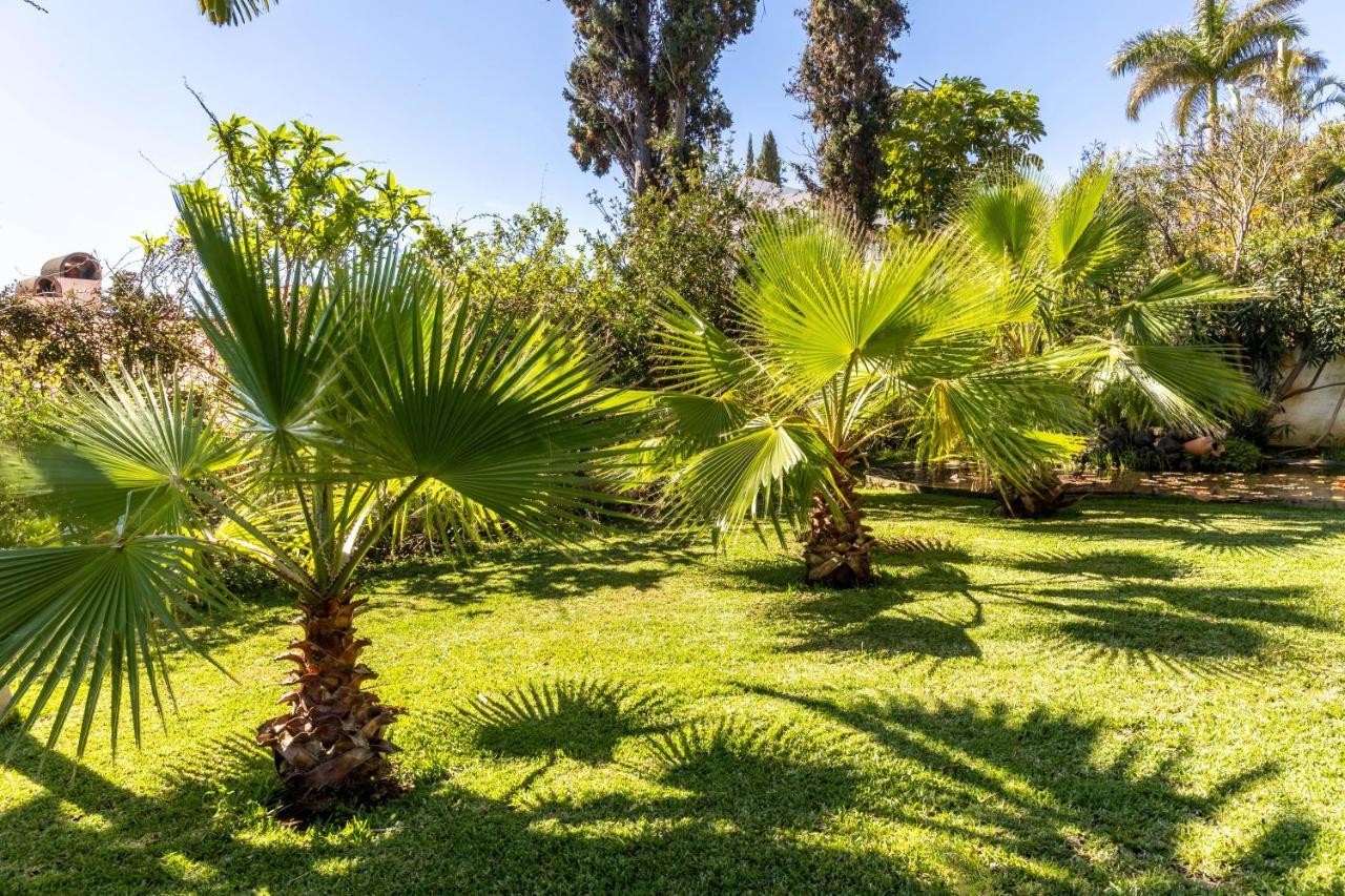 Villa Echium T1 Канису Экстерьер фото
